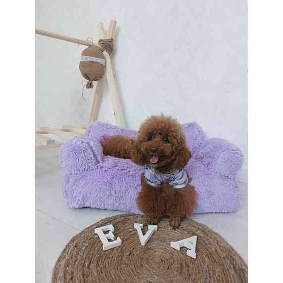 Хутряний диван лежак для собак і кішок спальне місце для тварин знімни Incor бузковий 10079 L (100х60х30) Київ