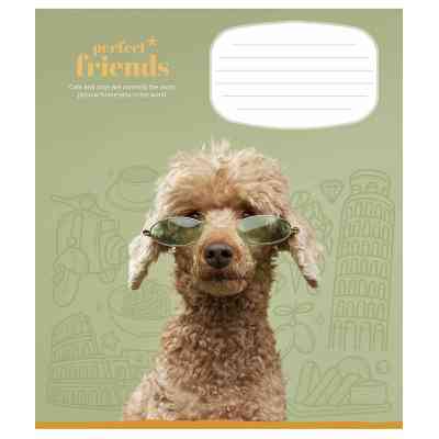 Зошит Школярик Perfect friends 12 аркушів клітинка (012-3250K) Вінниця