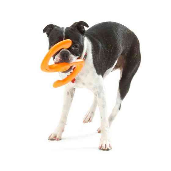 West Paw Bumi Tug Toy (Вест Пав Бумі) іграшка для собак S-подібна Запоріжжя
