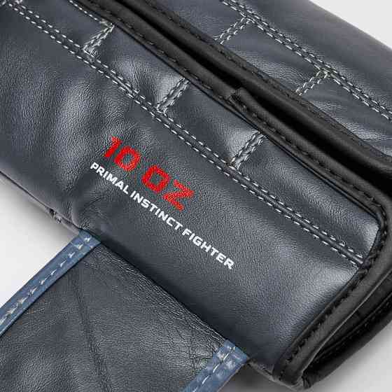 Боксерські рукавиці Leone GN004 PRIMAL INSTINCT Black 14 унцій Каменское