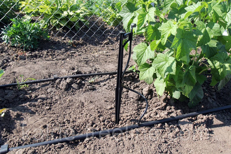 Крапельниця садова Presto-PS "Туман" 12 л/год, в пакованні — 100 шт. (МТ-0208) Харків - фото 9