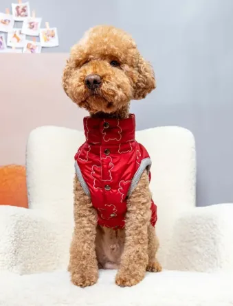 Жилетка для собак м'яка тепла плащівка на синтепоні Dogs Bomba весна на кнопках Ведмедики червона 9 Одеса