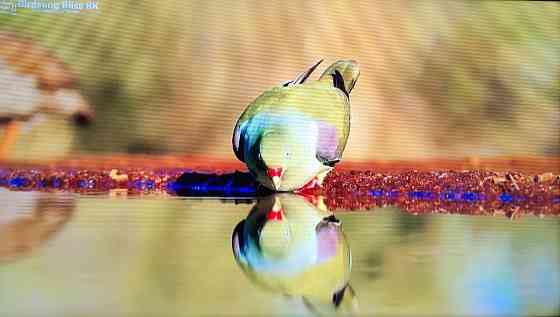 Телевізор Samsung 50Q60 Smart 4K. Київ