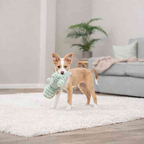 Іграшка Trixie для собак Крокодил з пискавкою плюш 32 см Київ