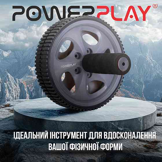 Колесо для преса PowerPlay PP-4345 Exercise Wheel (d16.5cm.) Сіре Київ