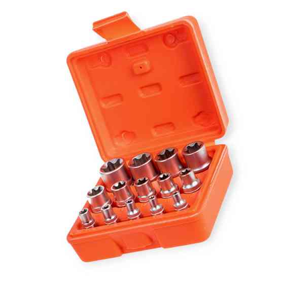 Набір головок TORX 1/4", 3/8", 1/2" 14шт, Е4-Е24 CrV (пластиковий кейс) ALLOID Мукачево