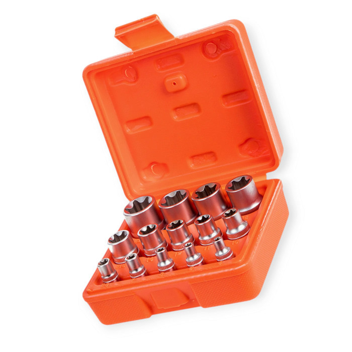 Набір головок TORX 1/4", 3/8", 1/2" 14шт, Е4-Е24 CrV (пластиковий кейс) ALLOID Мукачево - фото 1