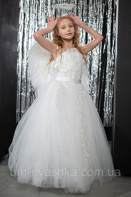 Крылья Ангела большие сердцем Кривой Рог - изображение 8