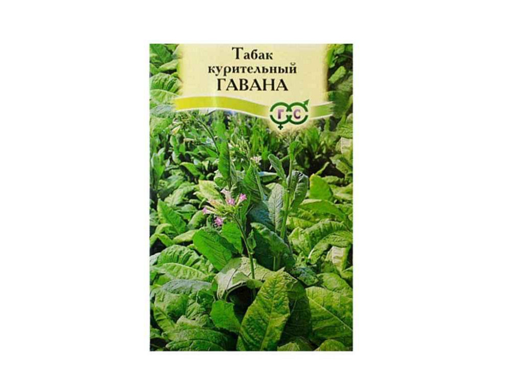 Табак курильний ЧудО ГАВАНА 0,1г (10 пачок) ТМ НАСІННЯ УКРАЇНИ Київ - фото 1