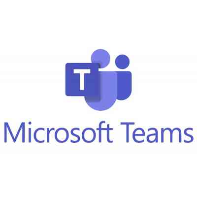 Офисное приложение Microsoft Teams Essentials P1Y Annual License (CFQ7TTC0JN4R_0002_P1Y_A) Винница