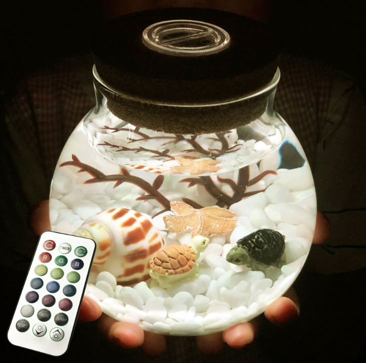Аквариум в банке с пультом, ночник, романтическая светящаяся бутылка, подарочный сделай сам МУЛЬТИЦВЕТ Кременчуг - изображение 2