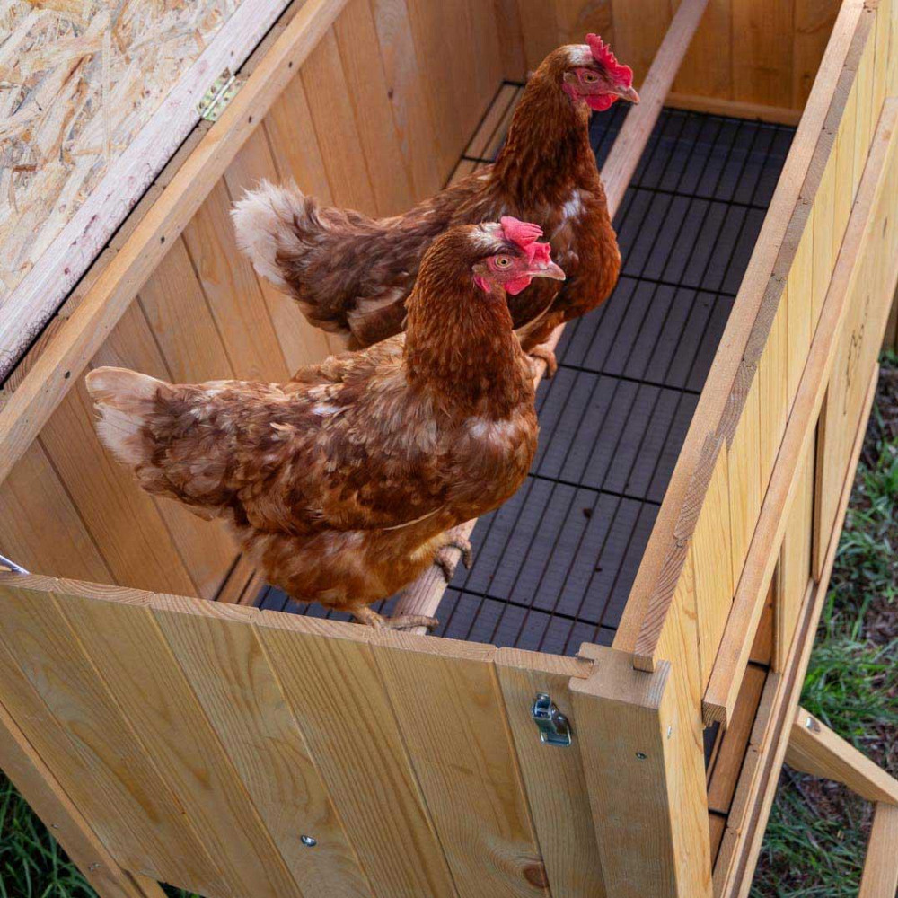 Дерев'яний будиночок для курей Ferplast Hen House (Ферпласт Хен Хаус) Запоріжжя - фото 9