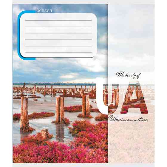 Тетрадь ученическая 