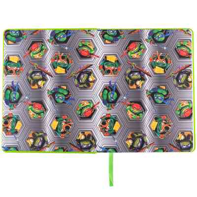 Щоденник шкільний Kite Ninja Turtles, тверда обкладинка (NT25-264) Вінниця