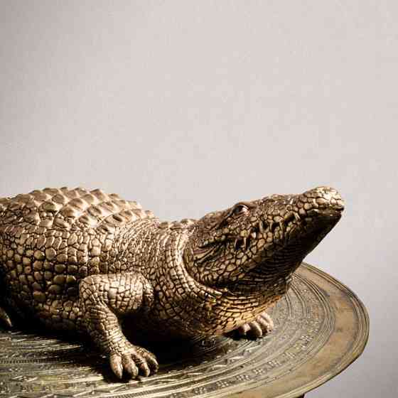 Шпалери BN International Grand Safari 220501 Київ