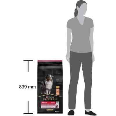 Сухой корм для собак Purina Pro Plan Dog Medium Adult Sensitive Skin с лососем и рисом 14 кг (7613035120464) Винница
