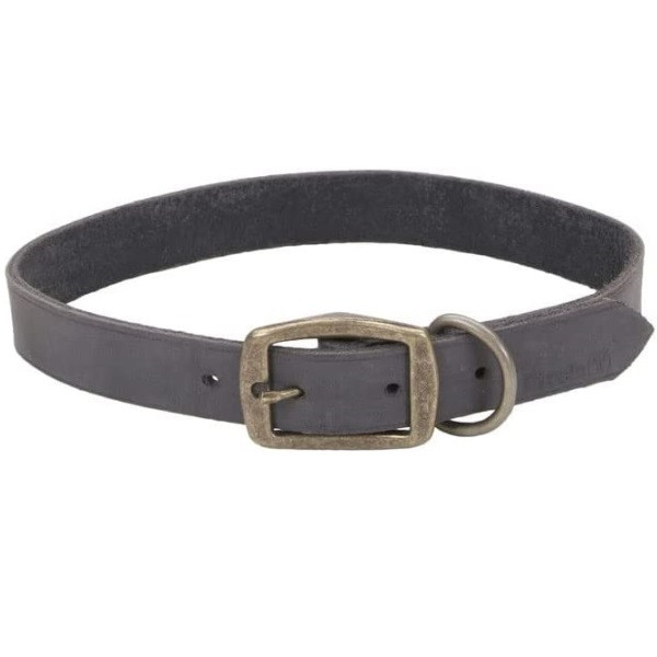 Coastal Rustic КОСТАЛ РУСТІК шкіряний нашийник для собак, 2.5х55см Київ - фото 1