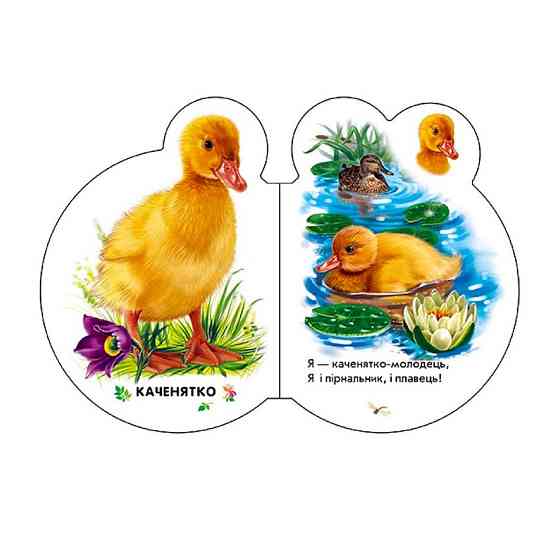 Картонная книжечка для самых маленьких Малыши : В селе 411016 аудио-бонус Винница