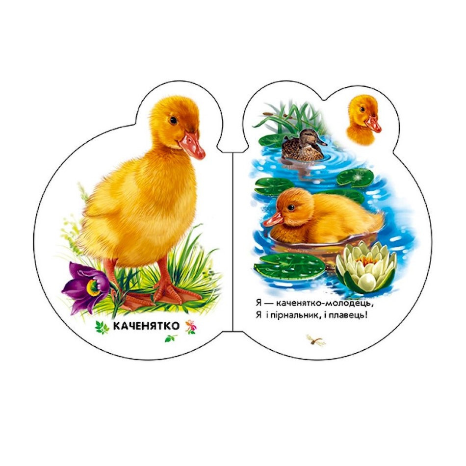 Картонная книжечка для самых маленьких Малыши : В селе 411016 аудио-бонус Винница - изображение 3