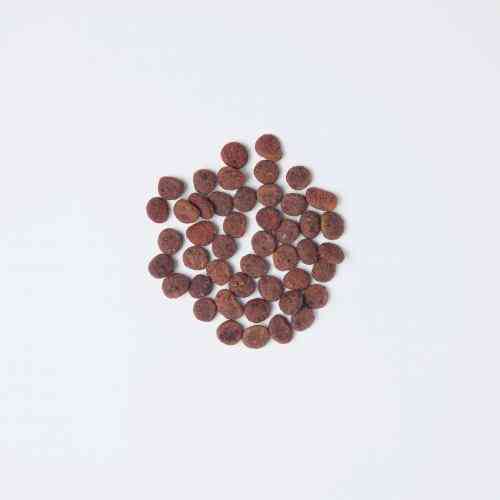 Корм сухий Carnilove True Fresh Cat Fresh Turkey для дорослих котів з індичкою 1,8 кг Київ