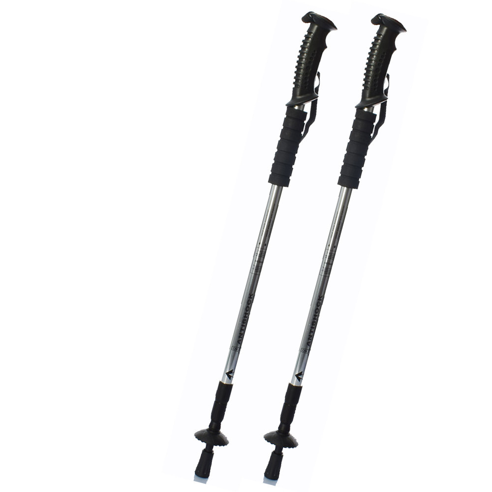 Треккинговые палки для скандинавской ходьбы 2 шт. Feel Fit MS 2019-1-GR Серый Бровары - изображение 1