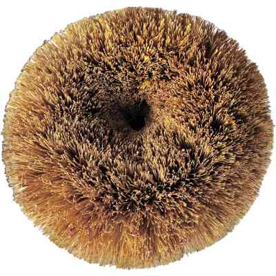 Скребок Добра Господарочка Универсальный С кокосовым волокном 1 шт. (4820086523523) Винница