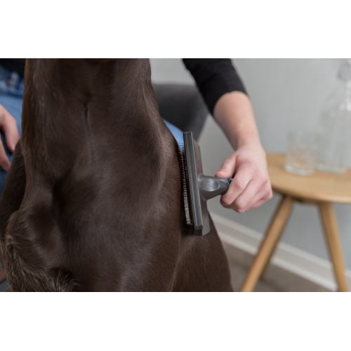 Щітка-пуходерка Trixie для собак м_яка з пластиковою ручкою 12х20 см Київ - фото 4