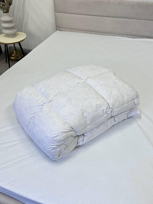 Ecotton Ковдра Ecotton двоспальна 172х205 см пухово-перова пух 50% White Коломия - фото 2