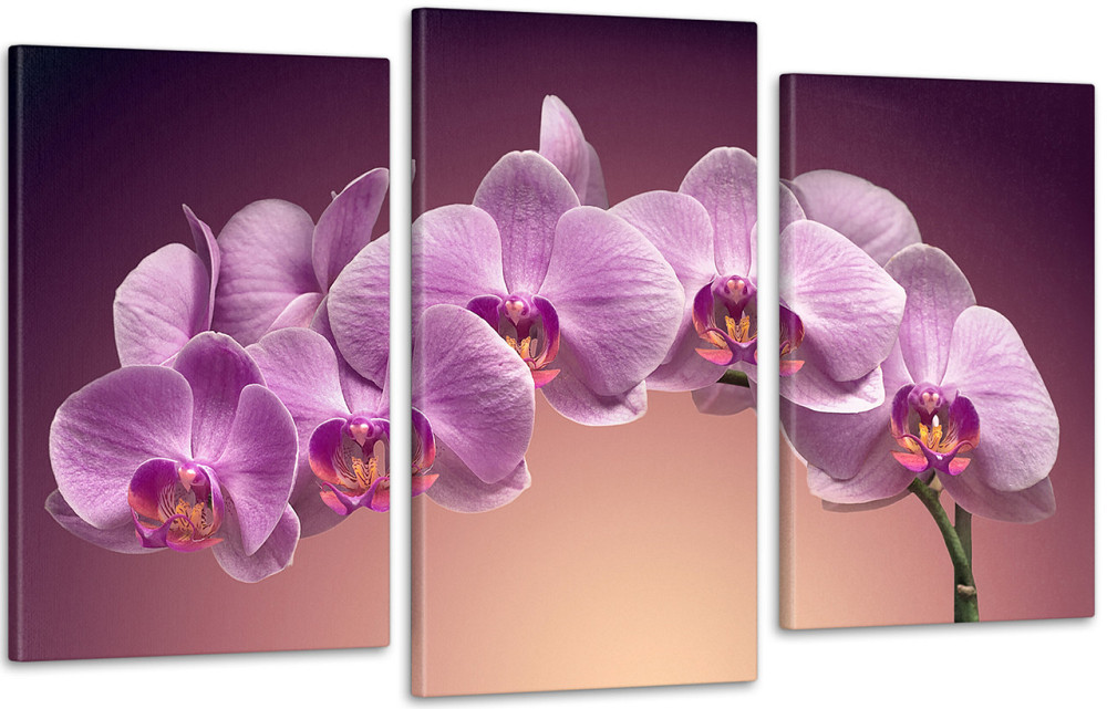 Модульна картина Коліри Орхідея Art-111_3 100x150 см Київ - фото 1