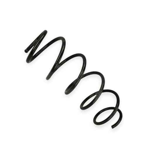 Пружина Citroen C2 1,4HDI 03- передняя Мукачево