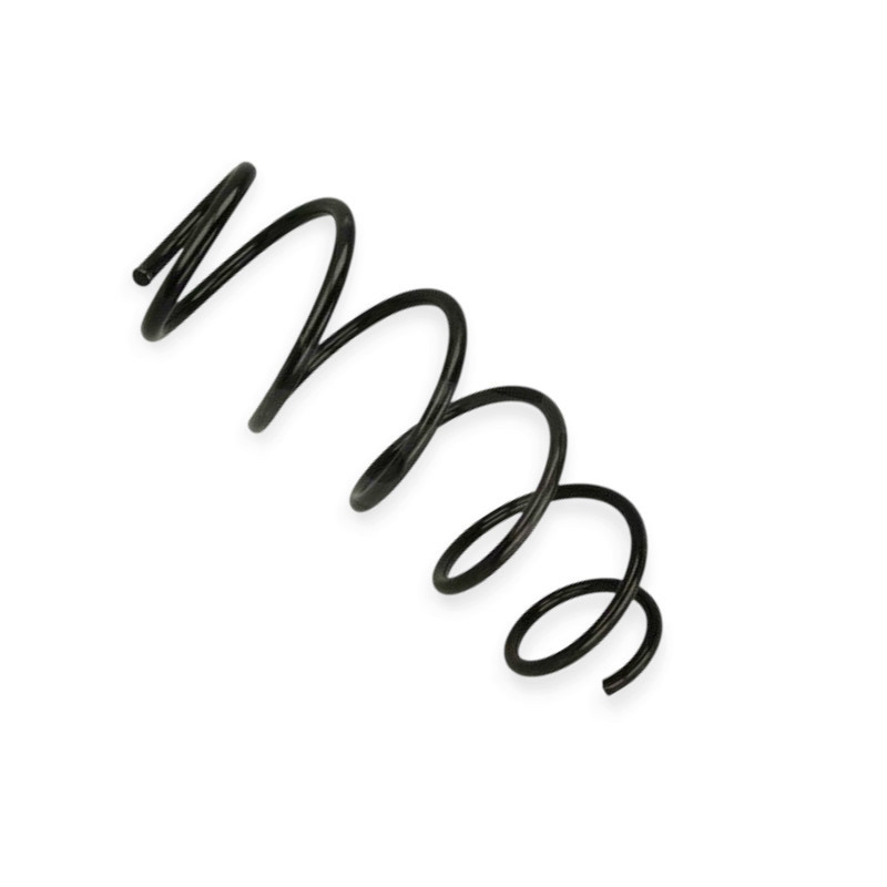 Пружина Citroen C2 1,4HDI 03-передня Мукачево - фото 1