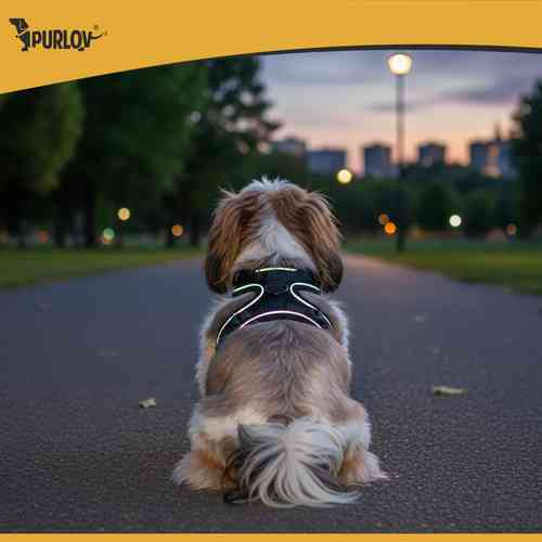 Шлейка регулируемая для животных без давления M Purlov (26870) Нововолынск