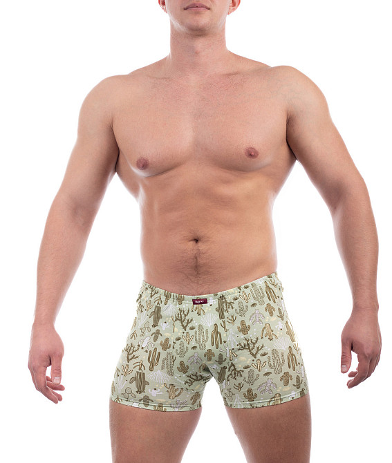 Труси чоловічі шорти Bono 950434 56 Київ - фото 3