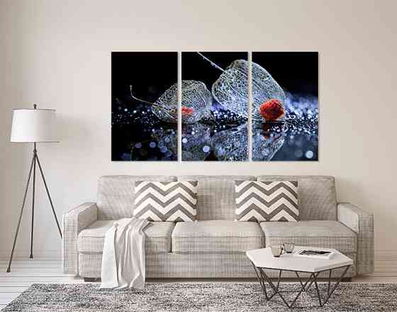 Модульная картина в гостиную / спальню   Фізаліс    ART-304_3A 100х150 см Киев