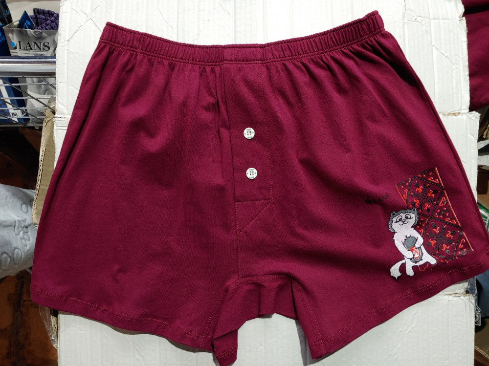 Боксери чоловічі Lans 01/014 L Київ - фото 2