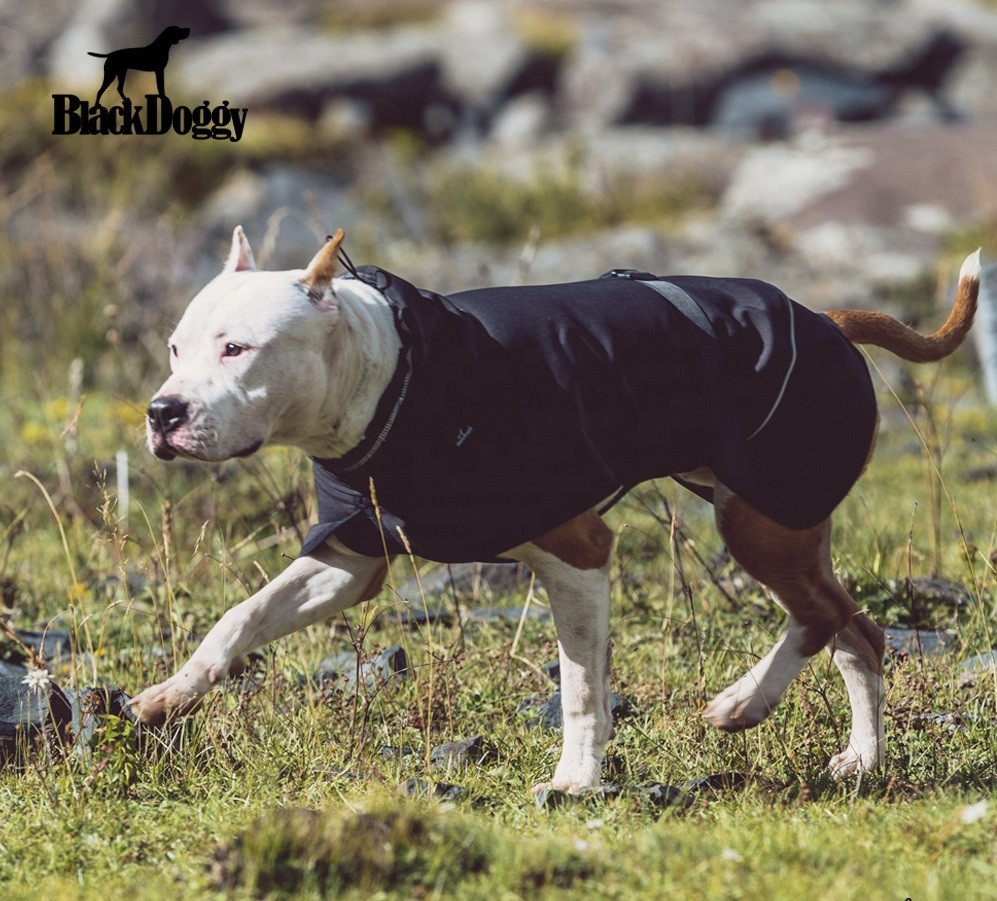 Куртка для собак BlackDoggy (БлекДогги) VC19-JK008 L, Черный Запорожье - изображение 2