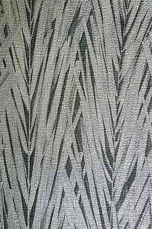 Шпалери вінілові на флізелін Rasch Composition 0,53х10 листя трава ялинка яскраво зелені, салатові чорні Київ