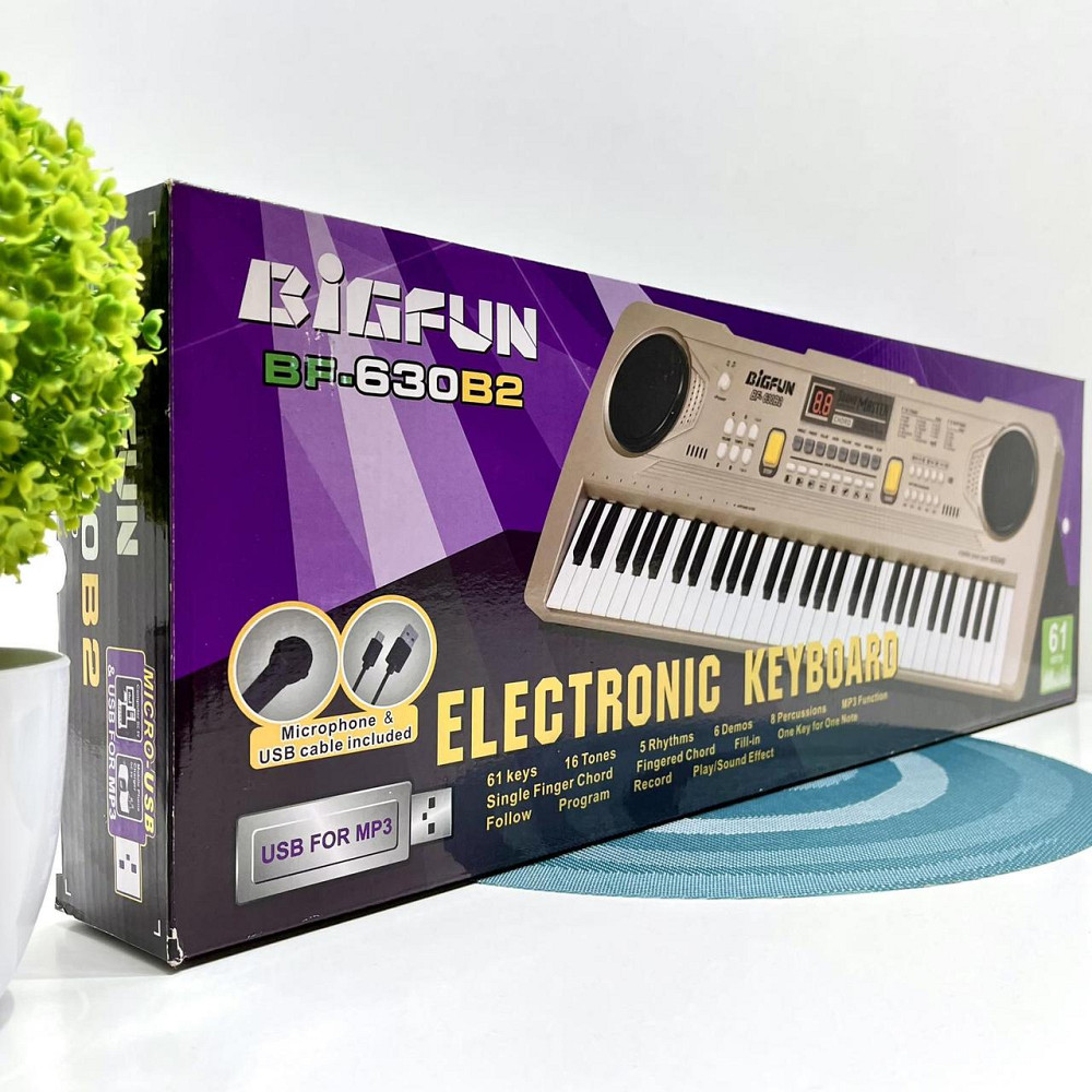 Синтезатор дитячий із мікрофоном 61 клавіша Сірий (BF-630B2) Чернигов - изображение 10