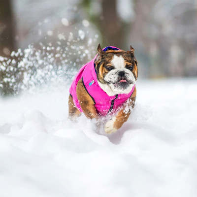 Курточка для тварин Airy Vest двостороння XS 25 фіолетово-рожева (1587) Вінниця - фото 6