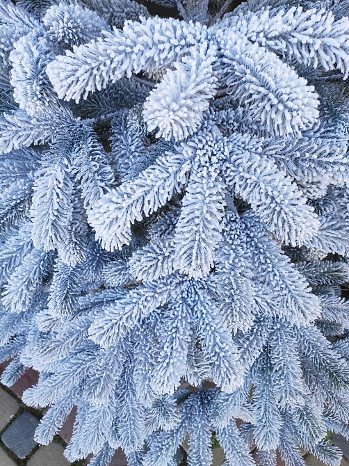 Елка искусственная литая заснеженная Буковельская 210см 2,1м Киев - изображение 3