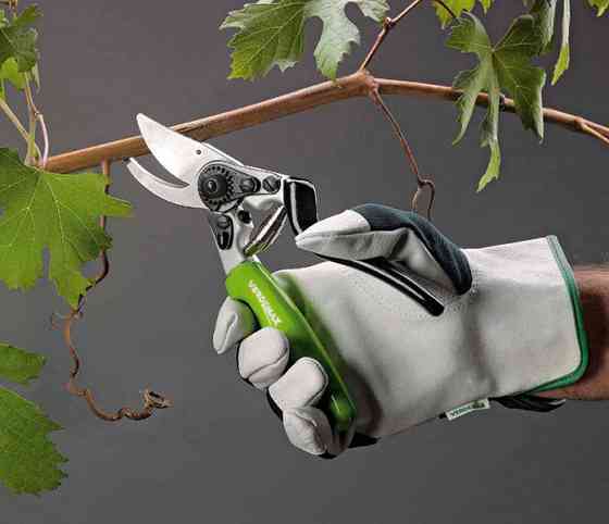 Секатор вигнутий садовий, професійний, 21 см (тип "ножиці"), арт. 4189 Київ