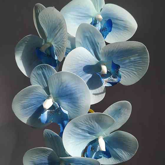 Штучна латексна орхідея VIP у синьому керамічному кашпо на одну блакитну гілку Дніпро