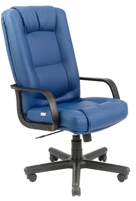 Офісне Крісло Керівника Richman Alberto Fly 2227 Пластік М3 MultiBlock Синій Київ - фото 1