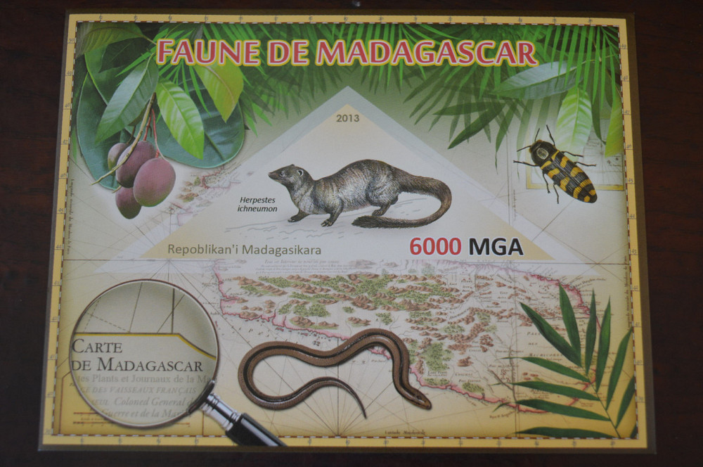 Мадагаскар. Фауна. Личности. Блок. 2014 р. (А-34) Полтава - фото 1