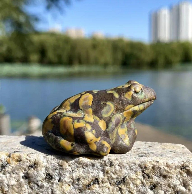 Фигурка «Лягушка» из фруктовой яшмы — мини статуэтка 3.9×3.3 см Киев - изображение 2