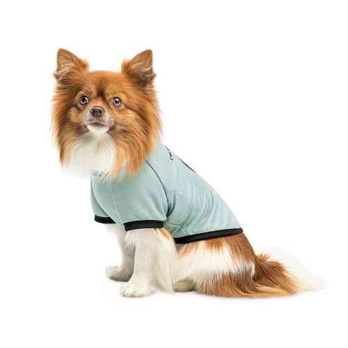 Футболка Pet Fashion Oscar для собак бавовна трикотаж рібана блакитна S Київ
