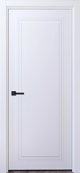 Двері фарбовані, Полотно Дніпро Київ - фото 1