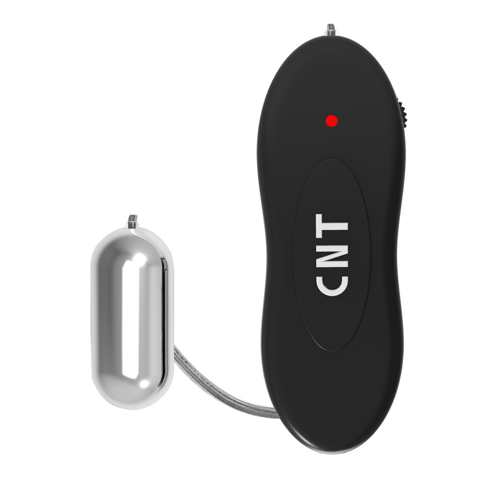 Вибропуля на пульте управления Chisa Hi-Basic Silver Bullet Mini, серебристая Sex Aura Киев - изображение 2