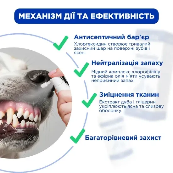 Ветсмайл (VetSmile) зубний спрей для ротової порожнини котів і собак 50 мл, MODES Вінниця