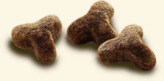 Сухой корм Cat Chow Kitten для котят с курицей 1.5 кг Винница